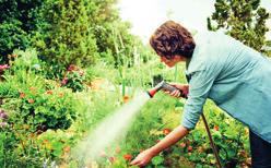 Ιδανικά και κατάλληλα για όλες τις ανάγκες ποτίσματος και καθαρισμού στον κήπο σας.