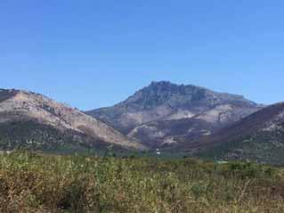 Αντ αυτού, όμως, και με την παρότρυνση της ΕΓΣ αναπτύχθηκε μια συνεργασία μεταξύ του Αριστοτέλειου Πανεπιστημίου Θεσσαλονίκης και της Ανωτάτης Σχολής Δασολογίας στο Ρότενμπουργκ.