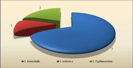 Ako pôvodcovia sa uplatnili: Salmonella enteritidis (7), Salmonella typhimurium (2), Salmonella enterica (1).