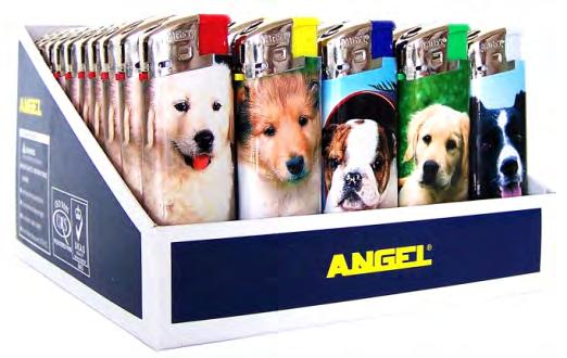 031872 202700 Angel No.