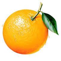 Το πορτοκάλι και η Φυσική Τι περιμένετε να συμβεί εάν βάλλετε το πορτοκάλι μέσα στο δοχείο με το νερό θα βυθιστεί ή θα επιπλεύσει; η πρόβλεψη σας Να βάλετε προσεκτικά το πορτοκάλι μέσα στο δοχείο με