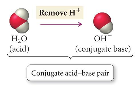 βάση οξύ οξύ βάση - στην προς τα αριστερά αντίδραση, το NH 4+ δρα ως οξύ (δίνει Η + στο ΟΗ ) το ΝΗ 4+ διαφέρει από την ΝΗ 3 (βάση) κατά 1 Η