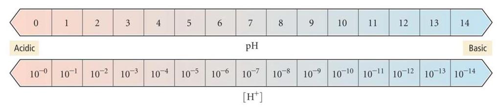η σημασία της τιμής του ph 58 7. επειδή το ph ορίζεται με αρνητικό πρόσημο, όσο πιο μικρό είναι το ph, τόσο πιο μεγάλη είναι η [H 3 O + ] 8.