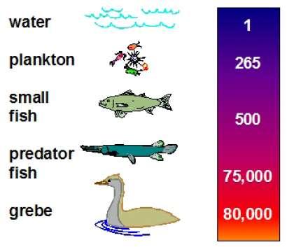 Ρύποι από κινητήρες Diesel Βιοσυσσώρευση (bioaccumulation) Η συσσώρευση χημικών ουσιών στα κύτταρα ή τους ιστούς ενός οργανισμού. 06 November 2013 Εγκαταστάσεις 2013-2014 Νικόλαος Π.