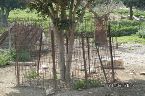 για τα αρπακτικά πουλιά Ζωικά παράσιτα όπως οι αρουραίοι και οι αγριόχοιροι, πέρα από ένα ορισμένο αριθμό, μπορούν να είναι επιβλαβή για την βλάστηση, να προκαλέσουν την