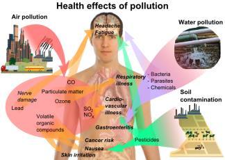 Επιπτώσεις των AΣ στην υγεία http://www.internalawareness.com/did_you_know/health_effects _of_pollution.