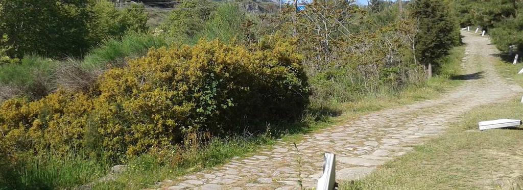 Στα τέλη Απριλίου συνάντησε τον Γεώργιο Μπασµανδέλη και την Κωνσταντίνα Μπουκουβάλα από το Τµήµα Τουρισµού στο ηµαρχείο της πόλης.