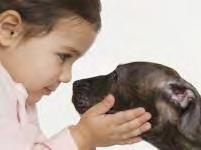 מבוא ויסות חושי( (sensory modulation הנו תהליך מרכזי עיבוד מידע מערכת העצבים המרכזית הכולל את כל מערכות החוש ליקוי בוויסות החושי ( SMD )מוגדר Sensory modulation disorder כהפרעה ביכולת לווסת ולארגן את