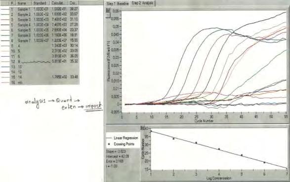 Γ. ΑΠΟΤΕΛΕΣΜΑΤΑ Η RTPCR μέθοδος πολλαπλασίασε επιτυχώς τη σειρά των θετικών μαρτύρων και δημιουργήθηκε η καμπύλη αναφοράς για την ποσοτικοποίηση του αποτελέσματος.