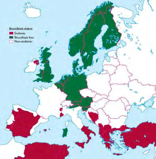 βρουκέλλωσης με μείωση στην ετήσια επίπτωση από 70 περιπτώσεις ανά εκατομμύριο το 1999 σε λιγότερες από 14 το 2003.