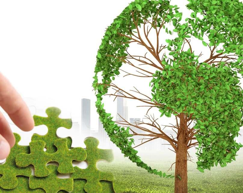 πράσινες υπηρεσίες &προϊόντα Από τη μεγαλύτερη εταιρία εφαρμογής συστημάτων οικολογικής δόμησης και υπηρεσιών εξοικονόμησης &
