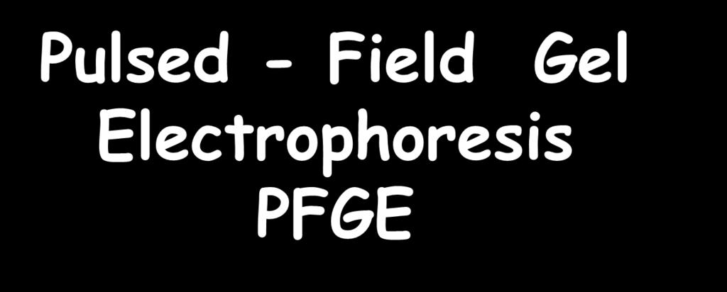 Pulsed - Field Gel Electrophoresis PFGE Ηλεκτροφόρηση