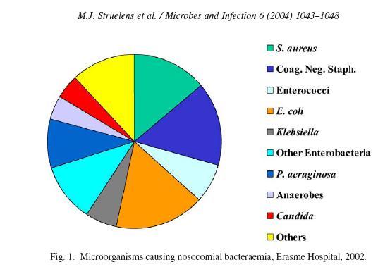 Πολυανθεκτικά παθογόνα βακτήρια: MRSA / CA-MRSA