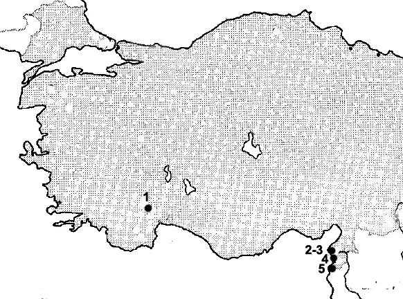 Εικόνα 8.15. Τέχνεργα της Μέσης Παλαιολιθικής Εποχής από τα στρώματα Α8 και Α9 της θέση Fumane στην Ιταλία. (Πηγή: Peresani 2011).