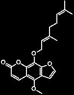 Σχήμα 27. Δομή της 8-geranyloxy-psoralen Ως αιθέρας, η 7-γερανυλοξυ-κουμαρίνη και τα παράγωγά της μπορούν να συντεθούν χημικά μέσω της αντίδρασης Williamson.