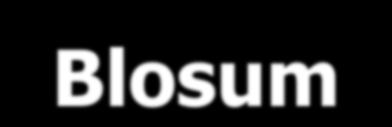 Blosum 62
