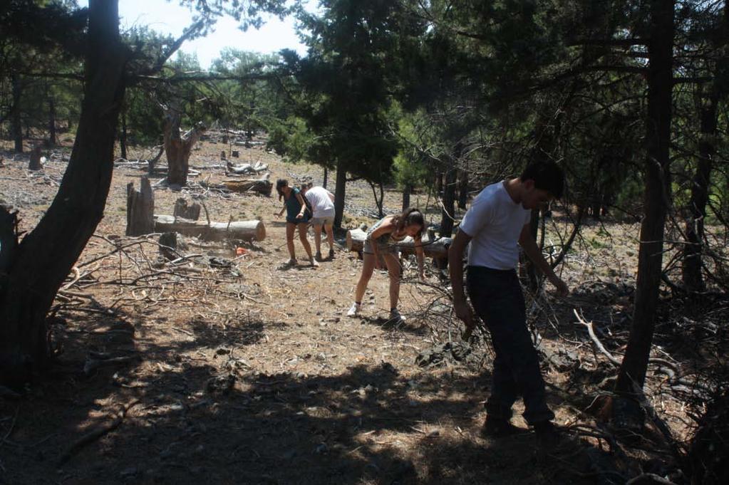 Φυλάκιο της Σαμαριάς Εικόνα 3.