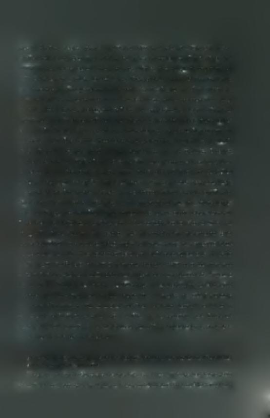 πως οι ενήλικοι ηγέτες κατέχουν σημαντικό ρόλο στον νεανικό αθλητισμό.