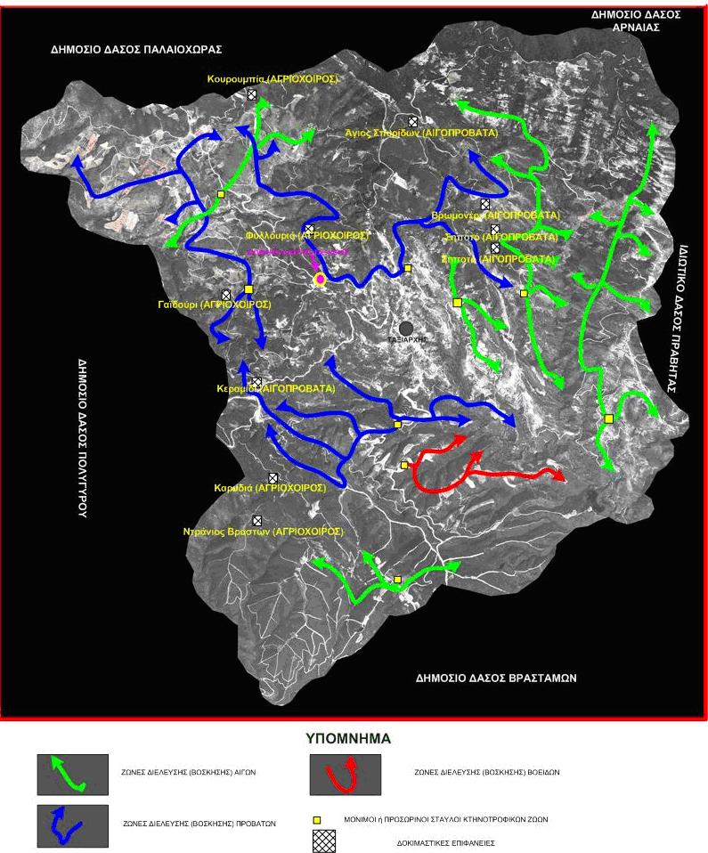 4. ΠΕΡΙΟΧΗ ΕΡΕΥΝΑΣ 4.1.