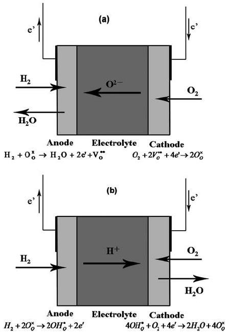 Εικόνα 3.1 Διαγράμματα λειτουργίασ O-SOFCs και H-SOFCs [4].
