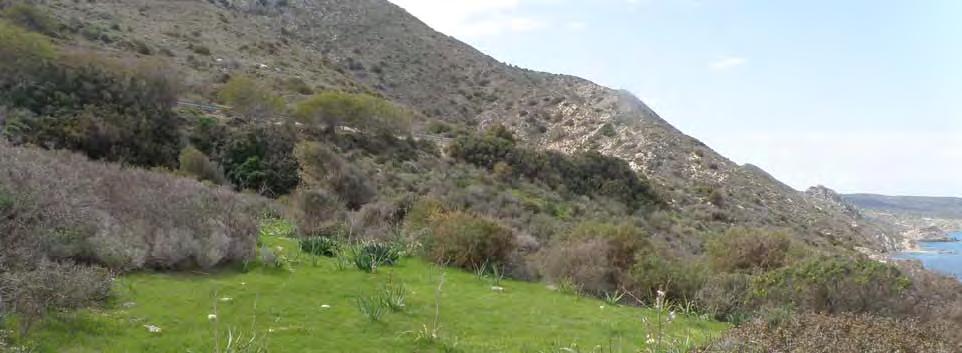 the Aid Regulation for the economic development of the Turkish Cypriot