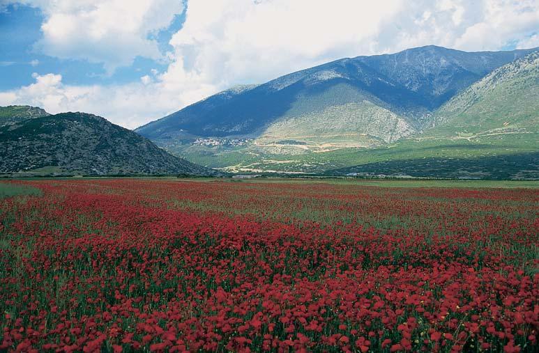 Όλυμπος 165 Ο