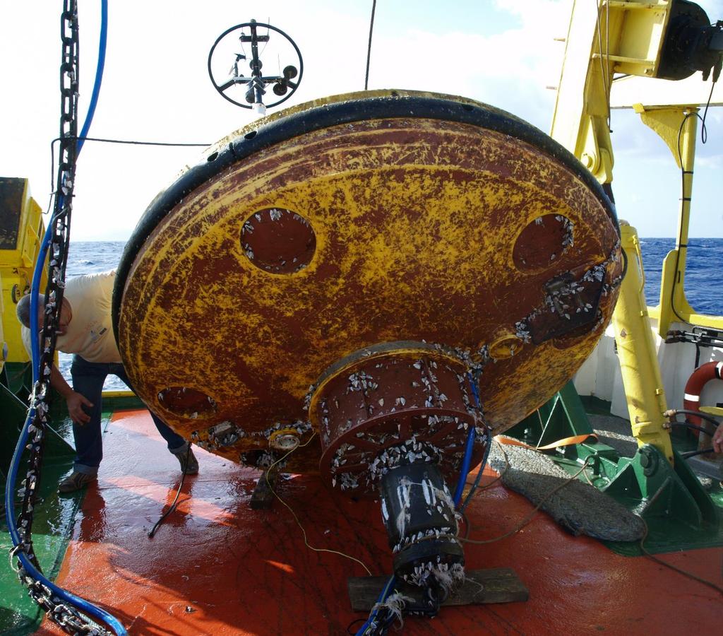 Εικόνα 10: Biofouling στους πλωτήρες της σημαδούρας της Πύλου. Τέλος, διαπιστώθηκαν αρκετές φθορές στους υποβρύχιους αισθητήρες. Στους πιο ρηχούς υπήρχε μεγάλη κάλυψη από biofouling (Εικόνα 13).