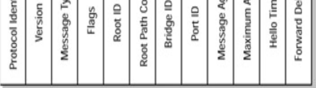 Εικόνα 3.1: Πεδία του µηνύµατος Configuration BPDU[4] Protocol Identifier (2 bytes): Περιέχει τη τιµή 0000 για το πρότυπο IEEE 802.1d.[3] Version Identifier (1 byte): Περιέχει τη τιµή 0.