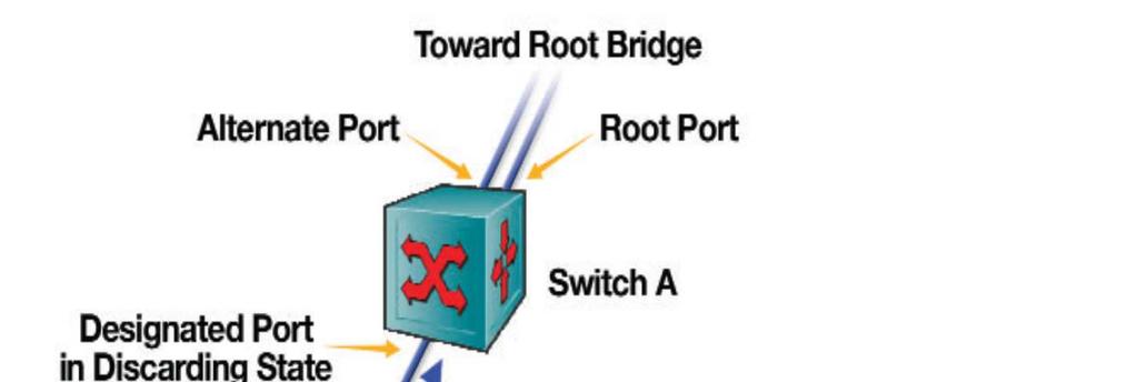 Εικόνα 3.5: Παράδειγµα της διαδικασίας handshake. Παρατηρούµε στην εικόνα 3.5, αρχικά ότι το switch Α στέλνει µία αίτηση προς το από κάτω του, γειτονικό switch µε τη µορφή ενός BPDU µηνύµατος.