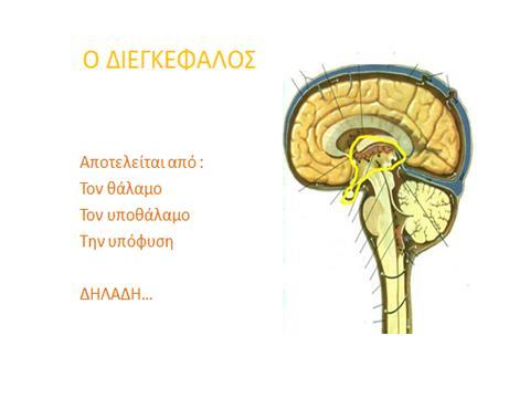 Διάμεσος