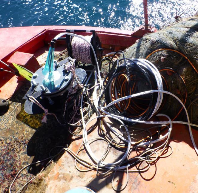 στην εκτίμηση της παρουσίας της Ποσειδωνίας σε διαφορετικά βάθη εντός της περιοχής μελέτης στην απεικόνιση του βαθμού εξάπλωση των λιβαδιών Ποσειδωνίας στην περιοχή μελέτης.