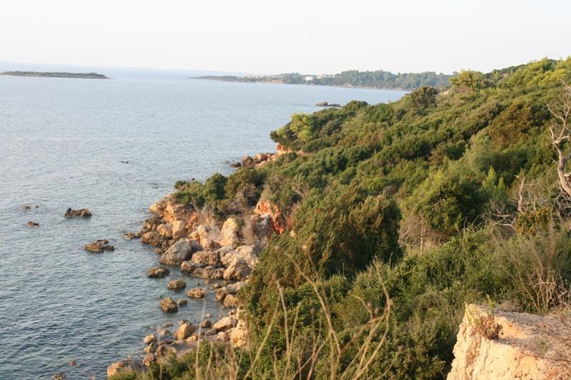 4-11: Πυκνοί δενδρώδεις θαμνώνες με Quercus coccifera, βόρεια της περιοχής έρευνας πεδίου Κοντά στη θάλασσα, η Q.