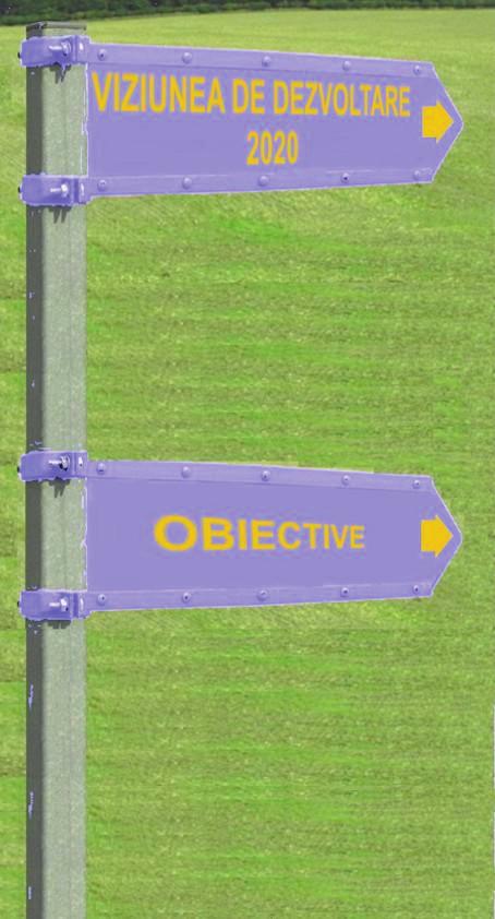 Viziunea de dezvoltare și obiectivele strategice În anul 2020, judeţul Suceava va fi un judeţ care s-a dezvoltat durabil, valorificând potențialul economic existent, în scopul: - asigurării