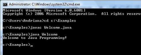 You type this command to execute the application The program outputs Welcome to