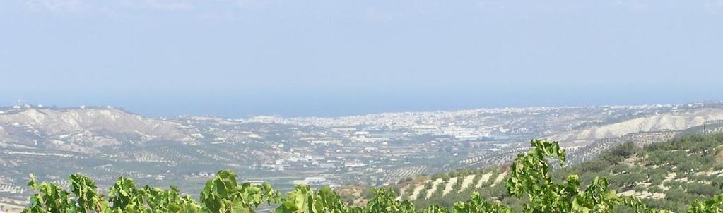 το επιτραπέζιο σταφύλι, προορίζονται για εξαγωγή. Στο παρελθόν, στον Γιόφυρο ποταμό έχουν προκύψει καταστροφές λόγω υπερχείλισης του ποταμού και πλημυρών στη παράκτια ζώνη.