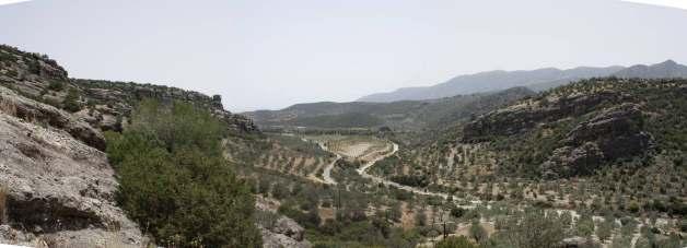 Χαρακτηριστική είναι η μεγάλη μορφολογική κλίση στα ανάντη τμήματά του και το εκτεταμένο αλλουβιακό ριπίδιο που δημιουργεί. Εικόνα 2.14.