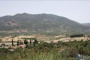 κυμαίνεται σε ύψη μεταξύ ενός και δύο μέτρων. 2 µ. Εικόνα 2.18. Άποψη της κοίτης του Ινάχου ανάντη της θέσης Άγιος Νικόλαος, πριν τη συμβολή με το Δουκιώτικο ρέμα.
