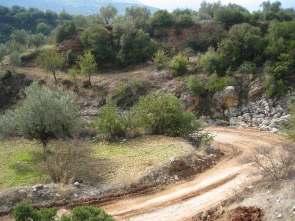 Οι επιφάνειες επιπέδωσης στο βόρειο τμήμα της κοιλάδας βρίσκονται στα (600-700)m, ενώ στο νότιο τμήμα στα (300-400)m. Εικόνα 2.24. Η κοιλάδα του κύριου κλάδου του υδρογραφικού δικτύου (Μερκούρι ρ.