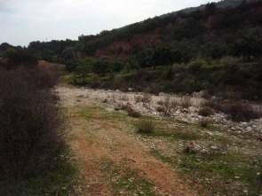 Μεταξύ των ράχεων Συκιά και Μαγούλα κατέρχεται κλάδος, για συντομία «Ανώνυμο ρέμα Σκαφιδακίου 1», οποίος εγκιβωτίζεται με μικρό τεχνικό και καταλήγει σε τοπική τάφρο βόρεια του Σκαφιδακίου.
