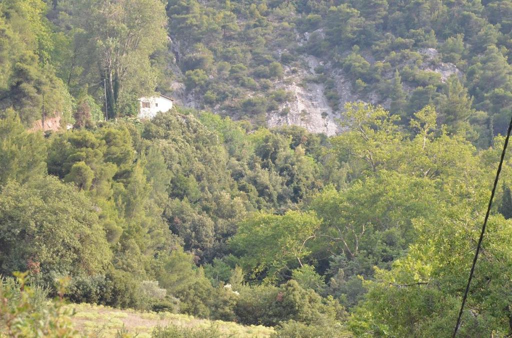 Η σεισμική εδαφική κίνηση του ρήγματος αυτού και του ρήγματος του Σχίνου στη συνέχεια συνεισέφεραν στην εκδήλωση κατολισθητικών φαινομένων κατά τη σεισμική ακολουθία του 1981 (Rozos and Koukis 1985,
