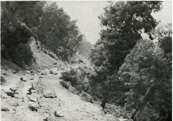Στη σεισμική ακολουθία του 1981 παρατηρήθηκαν εκτεταμένες πτώσεις βράχων στη βάση του ρήγματος.