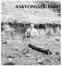 Εξαιτίας του επιφανειακού ισχυρού αυτού σεισμού επλήγησαν σοβαρά και οι νομοί Κορινθίας, Βοιωτίας, Φωκίδας, Εύβοιας και φυσικά ο νομός Αττικής, όπου «χτυπήθηκε» από τον σεισμό η Αθήνα η πλέον