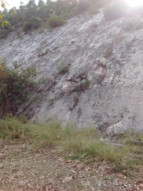απασχόλησε από τη νεοτεκτονική περίοδο της περιοχής είναι τα ενεργά-νεοτεκτονικά ρήγματα που έχουν διαμορφώσει το καθεστώς της περιοχής.