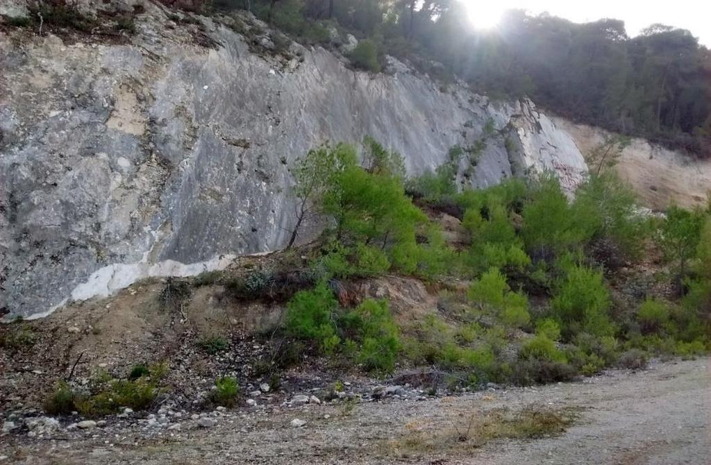 ΡΗΓΜΑ ΣΧΙΝΟΥ Το ρήγμα του Σχίνου, είναι και αυτό μια μεγάλη ρηξιγενής ζώνη με μεγάλο μήκος, και γι αυτό οι μετρήσεις λήφθηκαν στο σημείο όπου έχουμε την κυριότερη κατοπτρική εμφάνισή του.