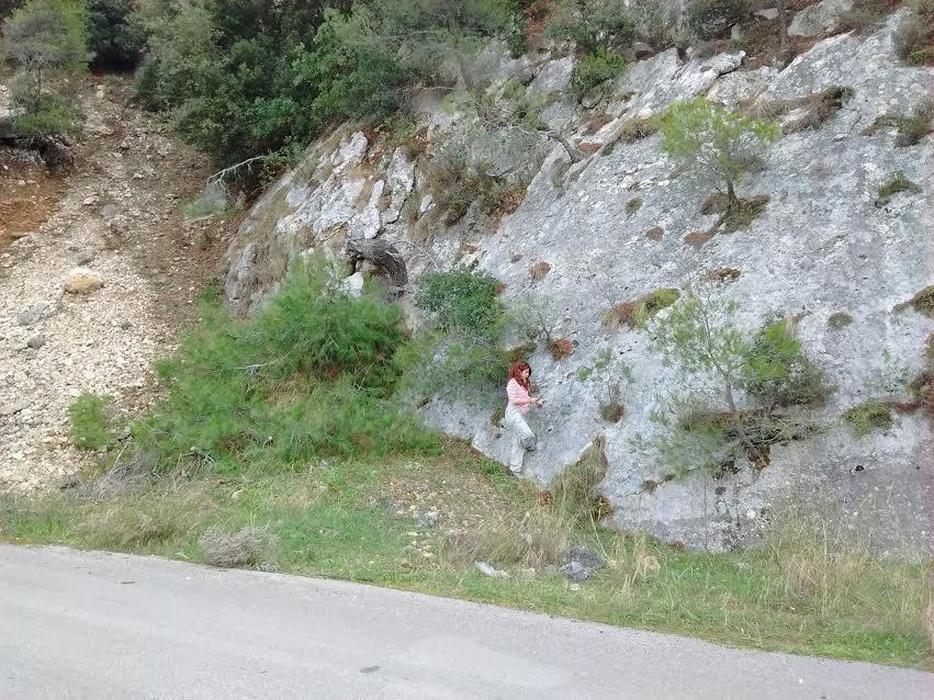 Επιπρόσθετα, η κατοπτρική επιφάνεια του ρήγματος αποκαλύφθηκε μετά από έργα που έγιναν στο χωματόδρομο