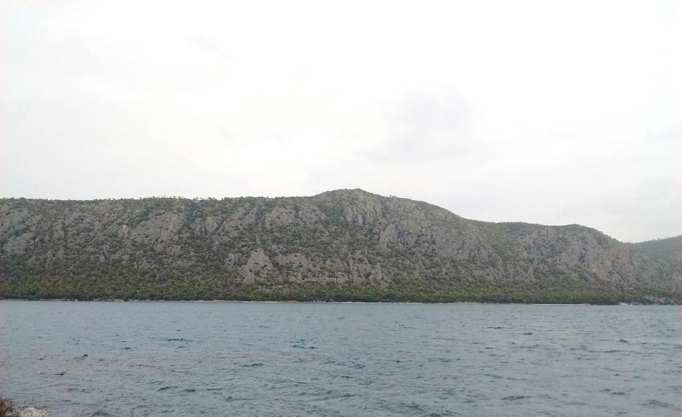 ΡΗΓΜΑ ΛΙΜΝΗΣ ΒΟΥΛΙΑΓΜΕΝΗΣ Κατά μήκος του δρόμου της Λίμνης της Βουλιαγμένης παρατηρήθηκε μια μορφολογική ασυνέχεια, η οποία είναι καλυμμένη από πλευρικά κορήματα.