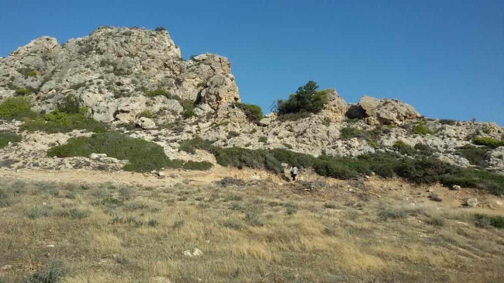 Εικ. 2.21 Απεικόνιση της τεκτονικής επαφής ανάμεσα στους «Ασβεστόλιθους» και στις «Τυρρήνιες Αποθέσεις» στην παραλιακή περιοχή της Στέρνας (προσωπικό αρχείο).