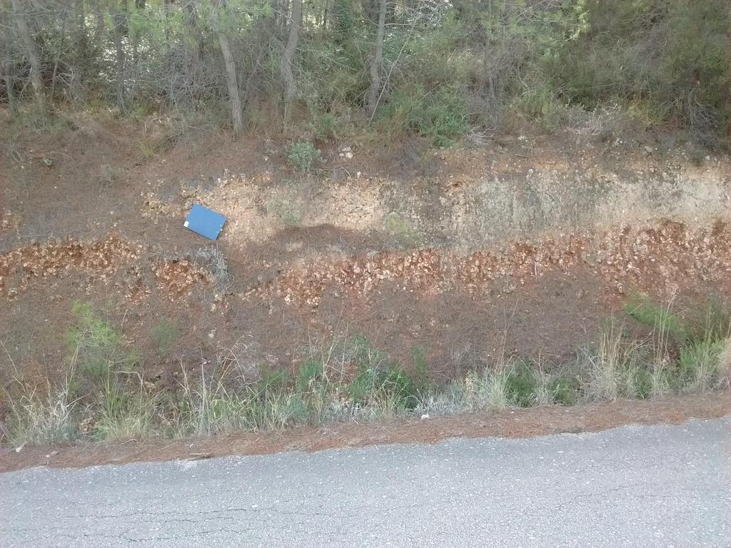 ΡΗΓΜΑΤΑ ΣΤΟΝ ΠΕΡΙΦΕΡΕΙΑΚΟ ΔΡΟΜΟ ΣΧΙΝΟΥ-ΑΛΚΥΟΝΑΣ Κατά μήκος του επαρχιακού δρόμου Σχίνου-Αλκυόνας και συγκεκριμένα από την περιοχή της Κτένας μέχρι και την περιοχή της Αλκυόνας έχουμε την εμφάνιση της