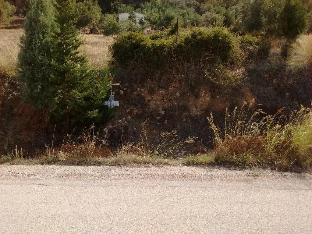 Εικόνα 2.24 Απεικόνιση της τεκτονικής επαφής ανάμεσα στο «Βοιωτικό Φλύσχη» και στα «Κορήματα» κοντά στην περιοχή Αλκυόνα.