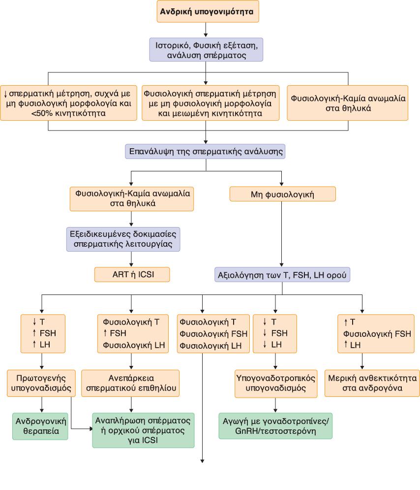 Βλέπε Εικόνα 8 Εικόνα 7. Αλγόριθμος διάγνωσης και θεραπείας της ανδρικής υπογονιμότητας.